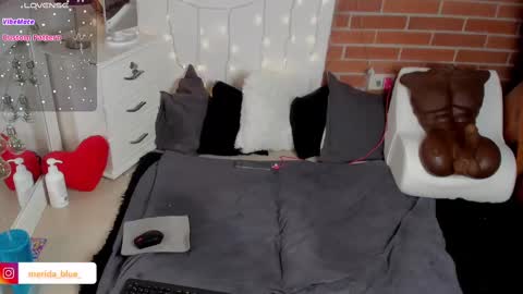 Snapshot of _merida_blue chatting on 18, 2, 2025 Merida independet model online show from 18, 2, 2025