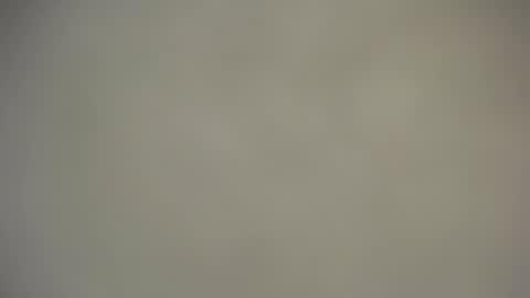 Nica online show from 25, 11, 2025