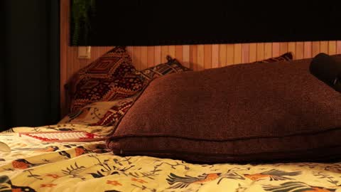 Snapshot of _northern_girl_ chatting on 21, 1, 2025 Lady Jess from house of Dragonborns online show from 21, 1, 2025