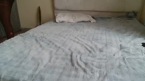 Peach online show from 25, 4, 2026