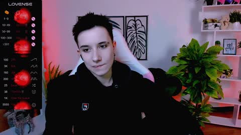 Rein online show from 29, 1, 2025