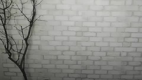 Rachel online show from 14, 12, 2024