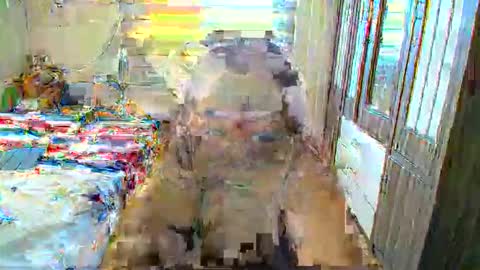 Anya online show from 26, 4, 2026