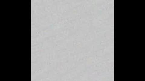 _tammarra_ online show from 16, 1, 2026