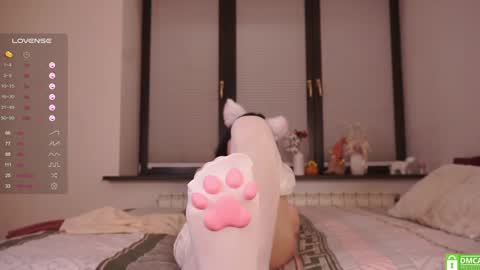 Viola online show from 24, 1, 2025