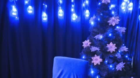    online show from 31, 12, 2024