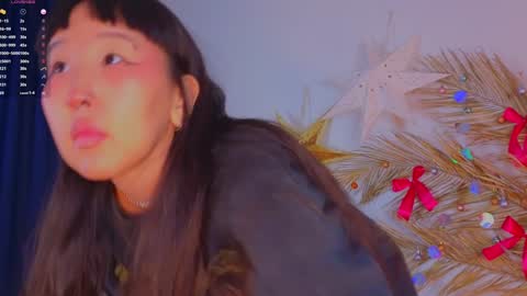 Snapshot of a1ly chatting on 29, 12, 2024 Ally online show from 29, 12, 2024