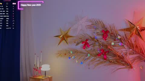 Snapshot of a1ly chatting on 31, 12, 2024 Ally online show from 31, 12, 2024