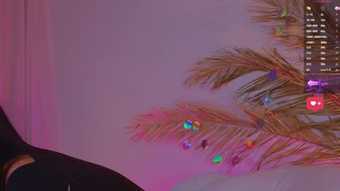 Snapshot of a1ly chatting on 24, 1, 2025 Ally online show from 24, 1, 2025