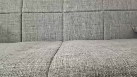 XXL online show from 19, 4, 2026