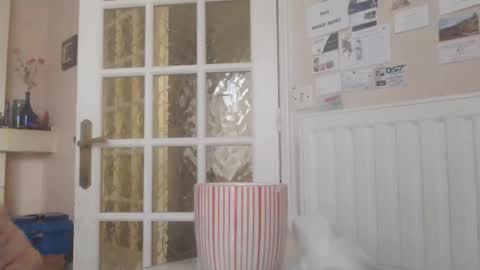 Snapshot of aalex1717 chatting on 14, 1, 2026 Aalex1717 online show from 14, 1, 2026