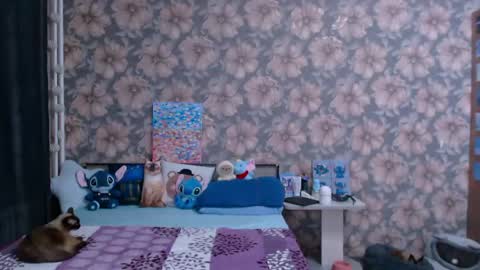 Alice online show from 26, 4, 2026