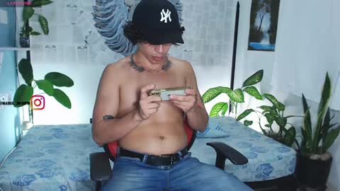 Manul online show from 12, 12, 2024