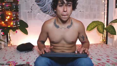 Manul online show from 29, 12, 2024