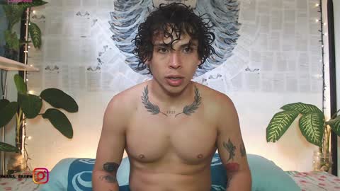 Manul online show from 2, 1, 2025