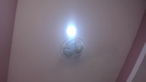 abbey_walker online show from 4, 2, 2025