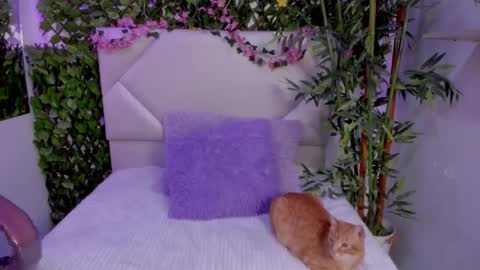 ABBY online show from 12, 11, 2025