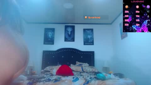 abbyshinne online show from 19, 2, 2026