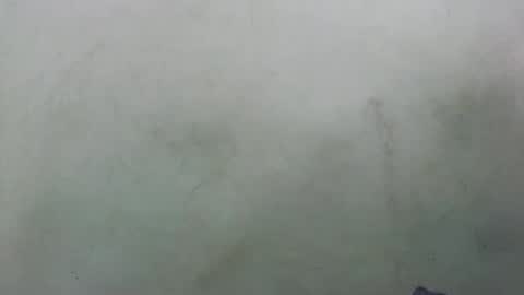 abella677022 online show from 16, 2, 2026