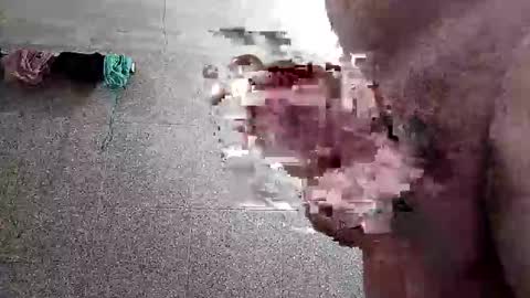 ac7492291 online show from 14, 1, 2026