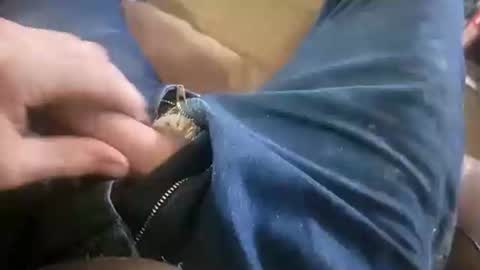 Ace online show from 19, 1, 2025