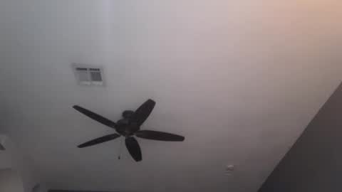 OF  online show from 23, 1, 2025