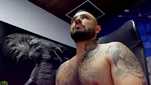 adam_donovan online show from 17, 7, 2026