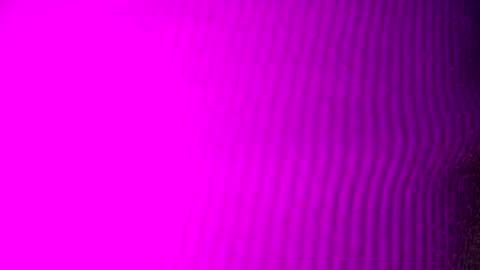 Snapshot of adamllamas chatting on 15, 9, 2025 adamllamas online show from 15, 9, 2025