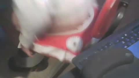 Snapshot of adamsny chatting on 20, 1, 2025 adamsny online show from 20, 1, 2025