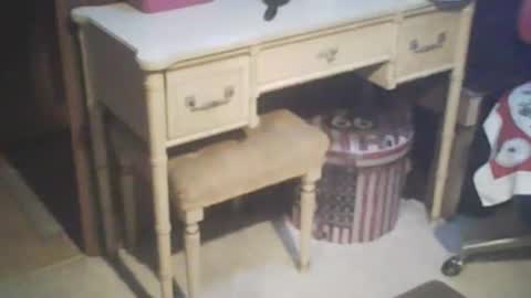 Snapshot of adamsny chatting on 21, 2, 2025 adamsny online show from 21, 2, 2025