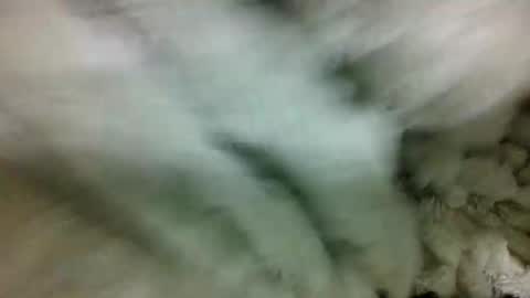 adelealy online show from 30, 7, 2026