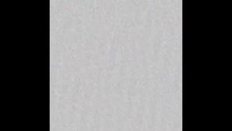 Victoria online show from 12, 2, 2025