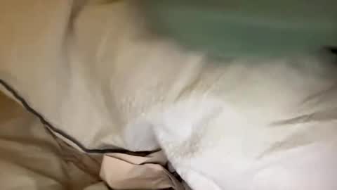 Snapshot of adriiii7878 chatting on 24, 1, 2025 adriiiii online show from 24, 1, 2025