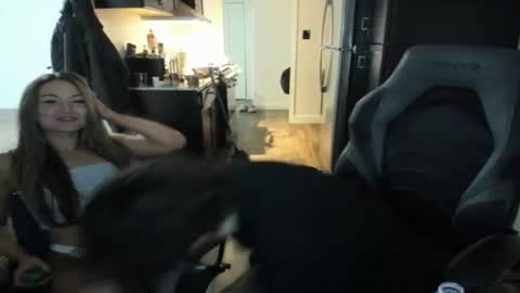 Niko online show from 23, 2, 2026