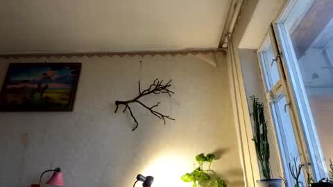 vegans taste better online show from 7, 10, 2025