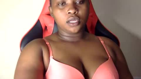 stella online show from 1, 10, 2025