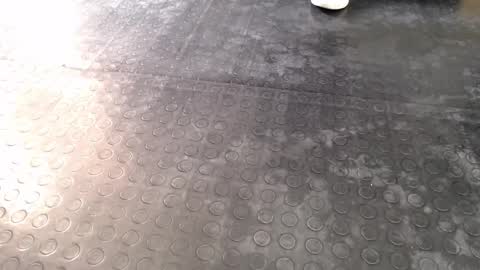  Miss Agata  online show from 16, 12, 2025