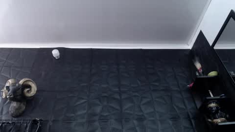  Miss Agata  online show from 27, 4, 2026