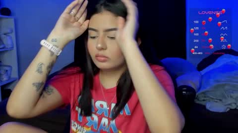 Cat online show from 24, 10, 2025