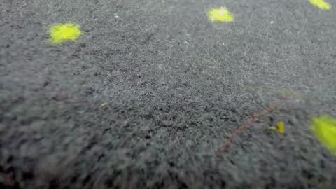 Aisha online show from 21, 3, 2026