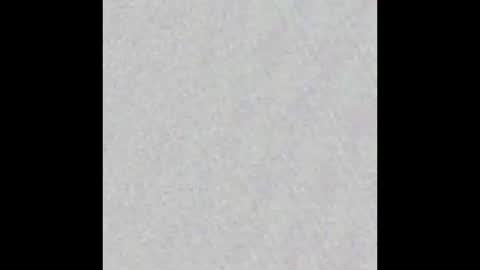 Al Fox  Miko Fortuni  online show from 12, 1, 2025