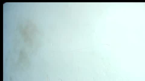 alahia66 online show from 21, 4, 2026