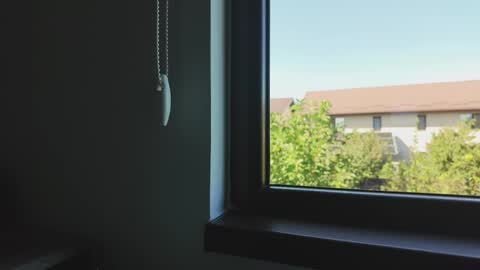 Alecssalove online show from 16, 9, 2025