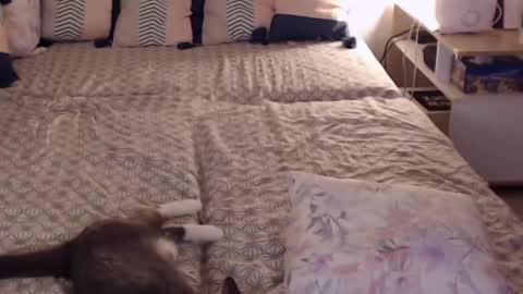 Sandra online show from 28, 2, 2025