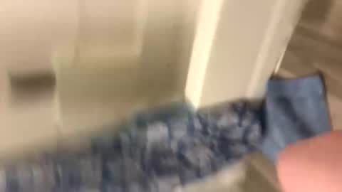 alex29222 online show from 9, 3, 2026