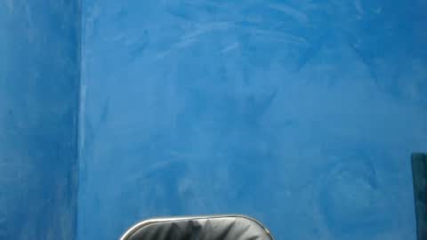 Alex online show from 4, 4, 2026