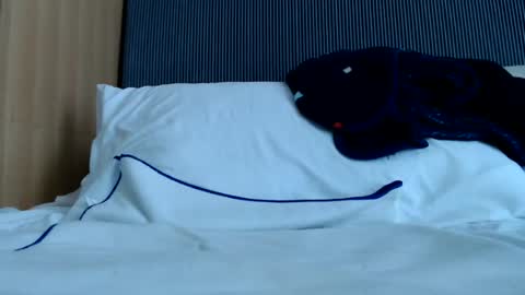 Nicha online show from 13, 6, 2026