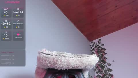 Dani online show from 10, 1, 2025