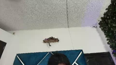 Alexa online show from 13, 6, 2026