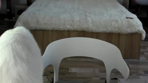 Alex online show from 19, 2, 2026